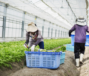 食堂托管,承包食堂,工厂食堂承包,承包食堂,食堂承包商，供应链