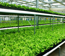 食堂托管,中膳团餐基地管理